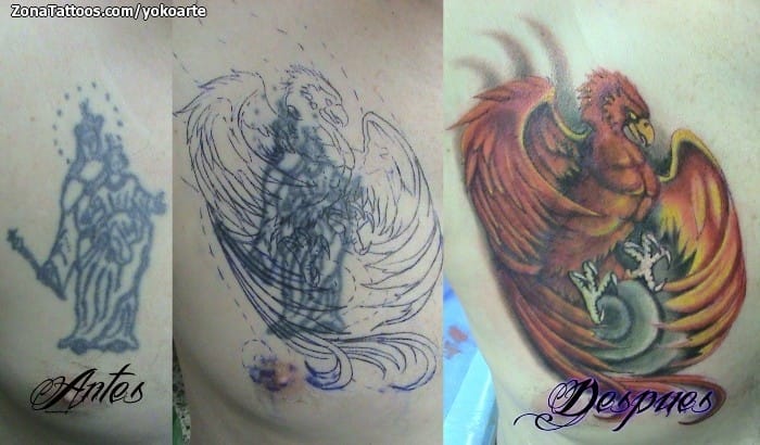 Tattoo photo Phoenix, Fantasy, Cover Up
