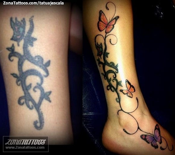 Foto de tatuaje Filigranas, Mariposas, Cover Up