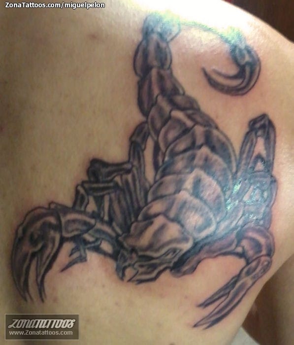 Tattoo photo Scorpions, Shoulder blade