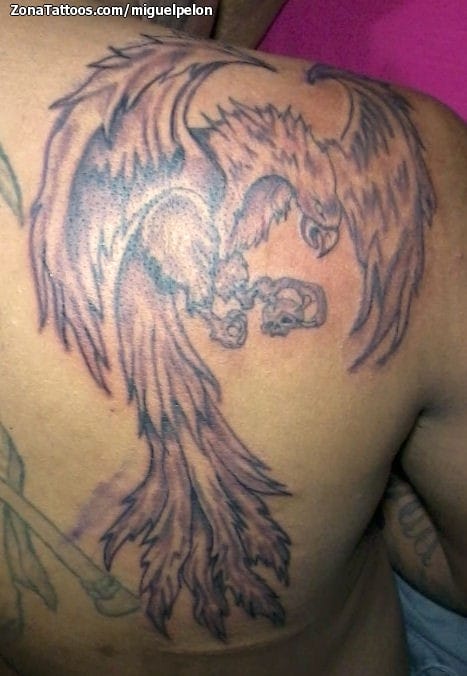 Tattoo photo Phoenix, Fantasy, Back