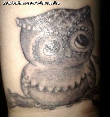 Tattoo photo Owls, Birds, Animals