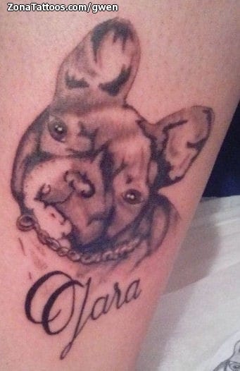 Foto de tatuaje Bulldogs, Perros, Animales