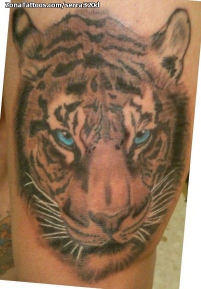 Tattoo photo Tigers, Animals