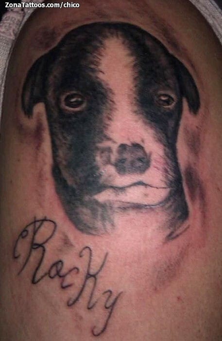 Foto de tatuaje Perros, Letras, Animales