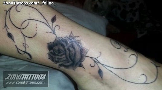 Foto de tatuaje Rosas, Filigranas, Flores