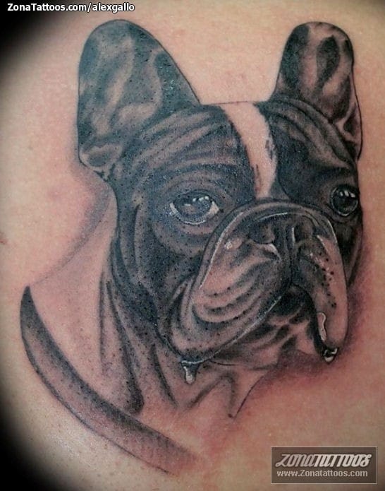 Tattoo photo Dogs, Animals