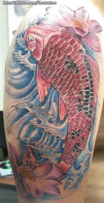 Tattoo photo Koi, Fish, Asian