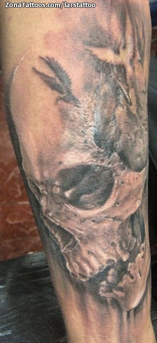 Tattoo photo Skulls, Scars