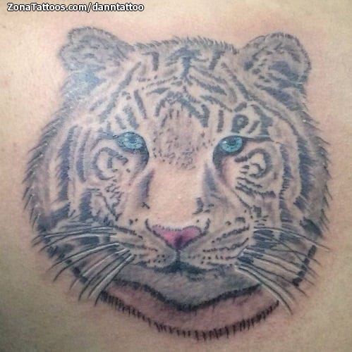 Tattoo photo Tigers, Animals