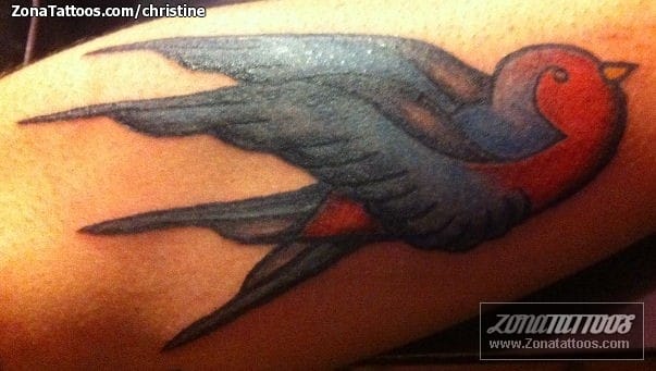 Foto de tatuaje Golondrinas, Aves, Animales