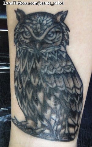 Foto de tatuaje Búhos, Aves, Animales