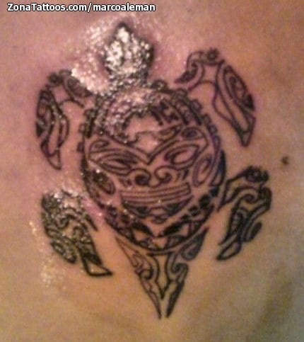 Tattoo photo Maori, Turtles, Animals