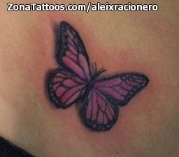 Foto de tatuaje Mariposas, Insectos