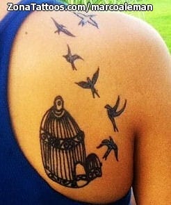 Foto de tatuaje Jaulas, Aves, Animales