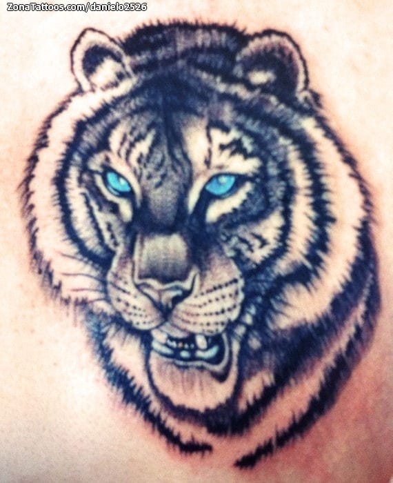 Foto de tatuaje Tigres, Animales