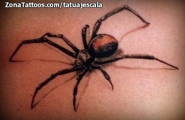 Foto de tatuaje Arañas, Insectos