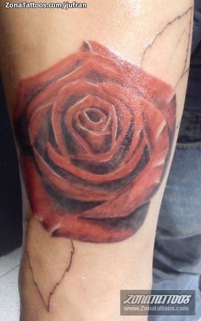 Tattoo photo Roses, Flowers