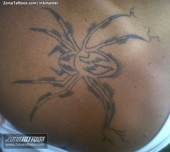 Foto de tatuaje Arañas, Insectos