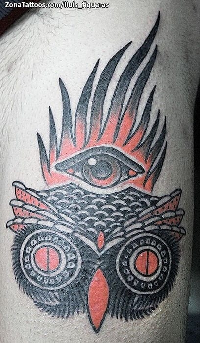 Tattoo photo Owls, Eyes, Birds