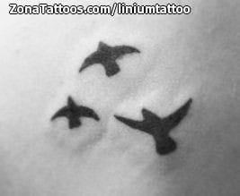 Foto de tatuaje Aves, Siluetas, Animales