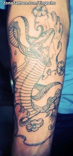 Tattoo photo Snakes, Asian, Animals