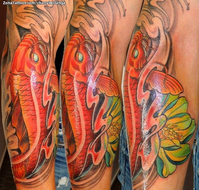 Foto de tatuaje Koi, Peces, Lotos