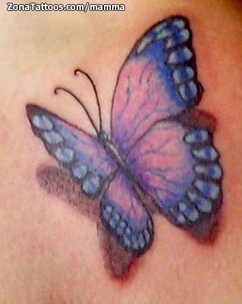 Tattoo photo Butterflies, Insects