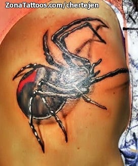 Tattoo photo Spiders, Animals
