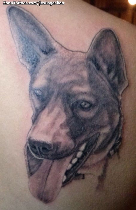 Foto de tatuaje Perros, Animales