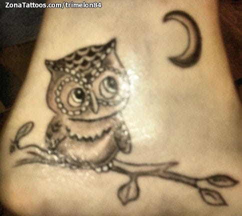 Tattoo photo Owls, Birds, Moons