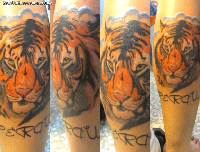 Foto de tatuaje Tigres, Animales