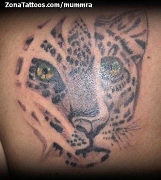 Foto de tatuaje Tigres, Animales