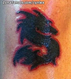 Foto de tatuaje Dragones, Siluetas, Fantasía