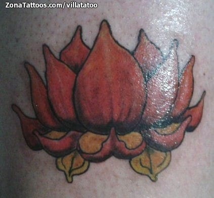 Tattoo photo Lotus, Flowers