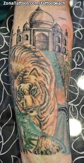 Tattoo photo Tigers, Animals