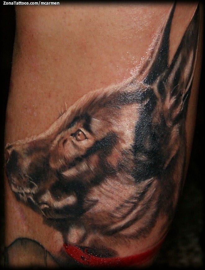 Tattoo photo Dogs, Animals