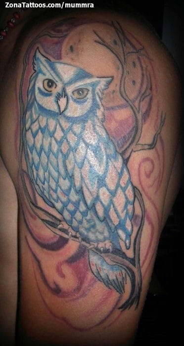 Tattoo photo Owls, Birds, Animals