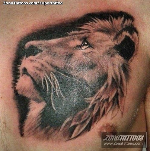 Foto de tatuaje Leones, Animales, Pecho