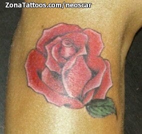 Tattoo photo Roses, Flowers