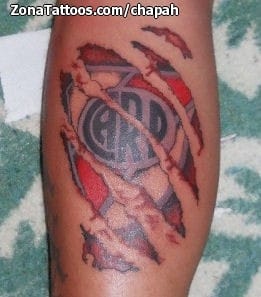 Foto de tatuaje Escudos, Desgarros