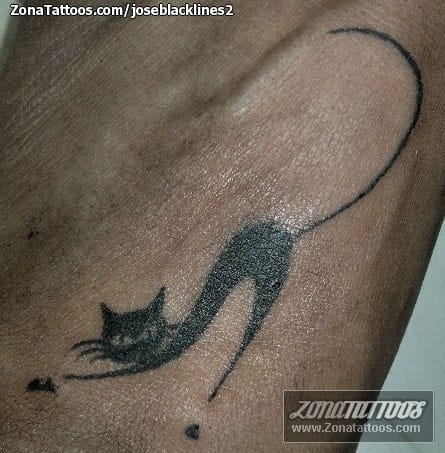 Foto de tatuaje Gatos, Animales