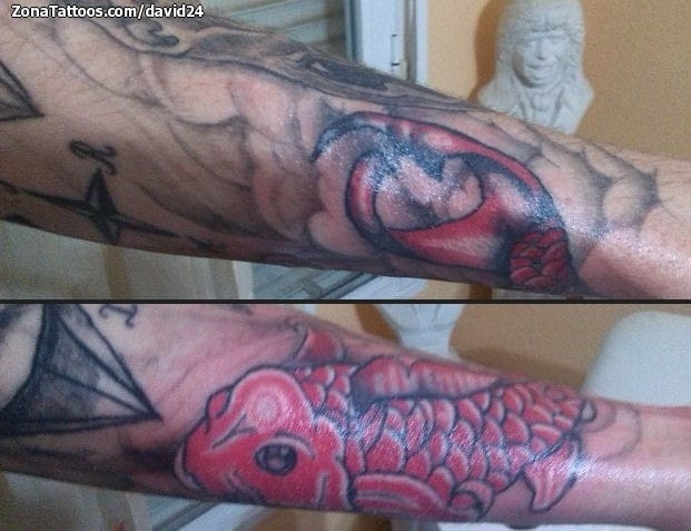 Tattoo photo Koi, Fish, Asian