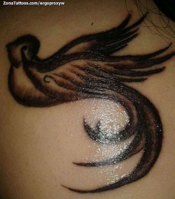 Foto de tatuaje Golondrinas, Aves, Animales