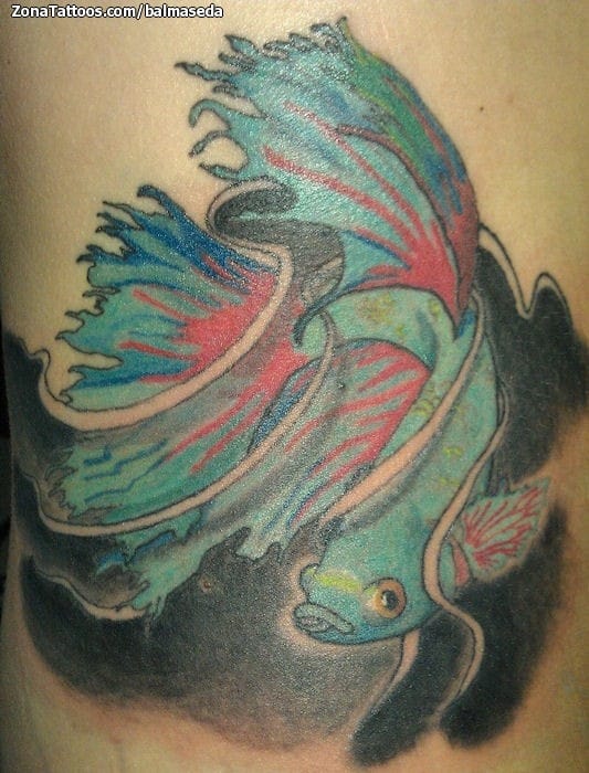 Foto de tatuaje Peces, Animales