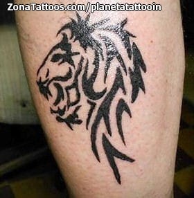Tattoo of Lions, Tribal, Animals