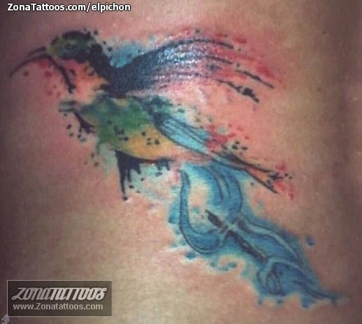 Tattoo photo Humming bird, Birds, Animals