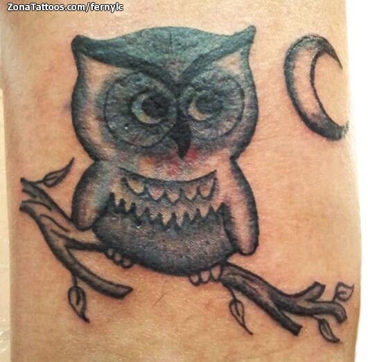 Tattoo photo Owls, Birds, Moons