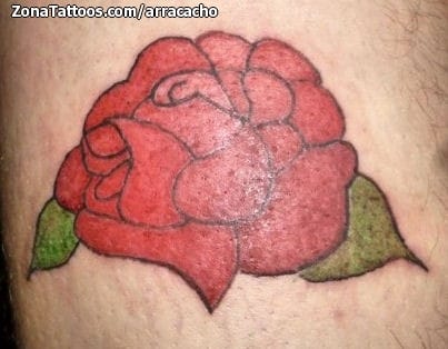 Tattoo photo Roses, Flowers