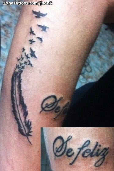 Foto de tatuaje Plumas, Letras, Aves