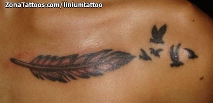 Foto de tatuaje Plumas, Aves, Siluetas